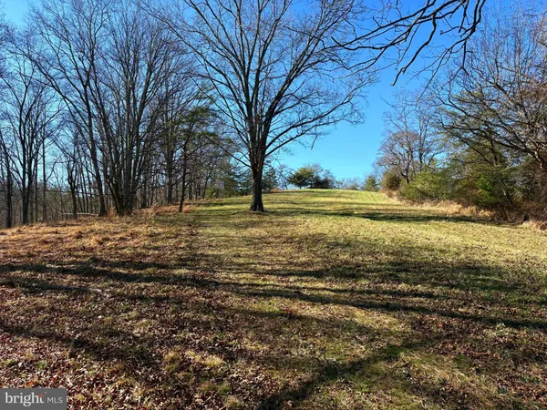 a view of a backyard with green space