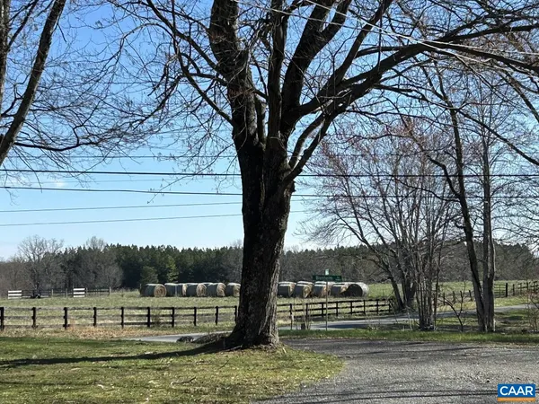 a view of a park with large trees