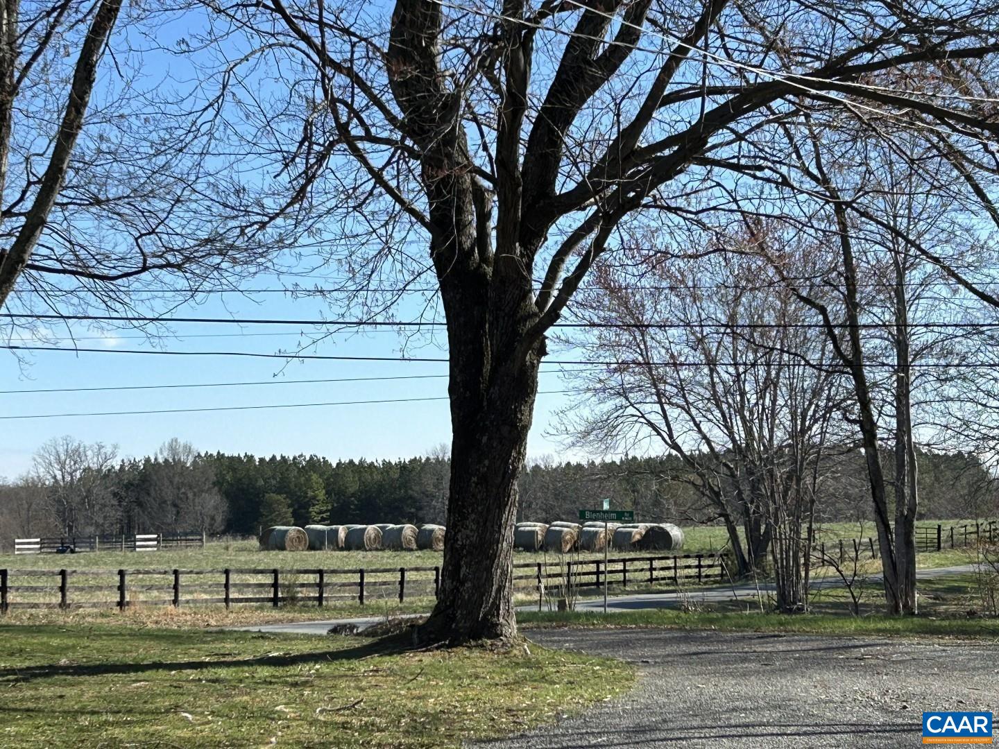 7714 Blenheim Road Scottsville, VA 24590 - Photo 29 of 35 a view of a park with large trees