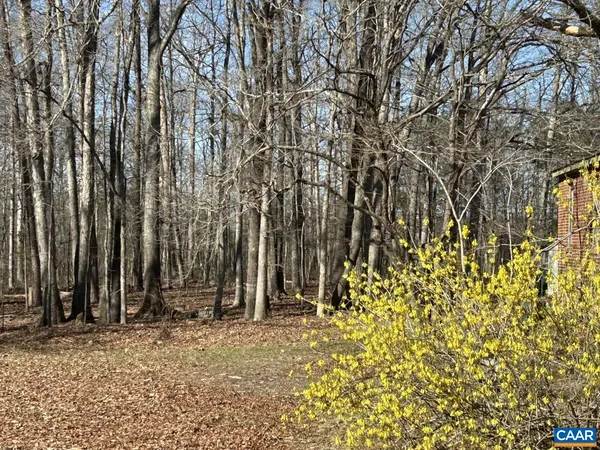 a view of wooden wall