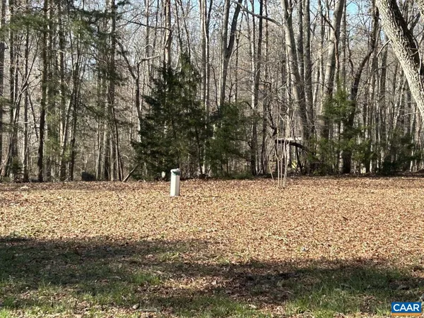 a view of a yard with trees