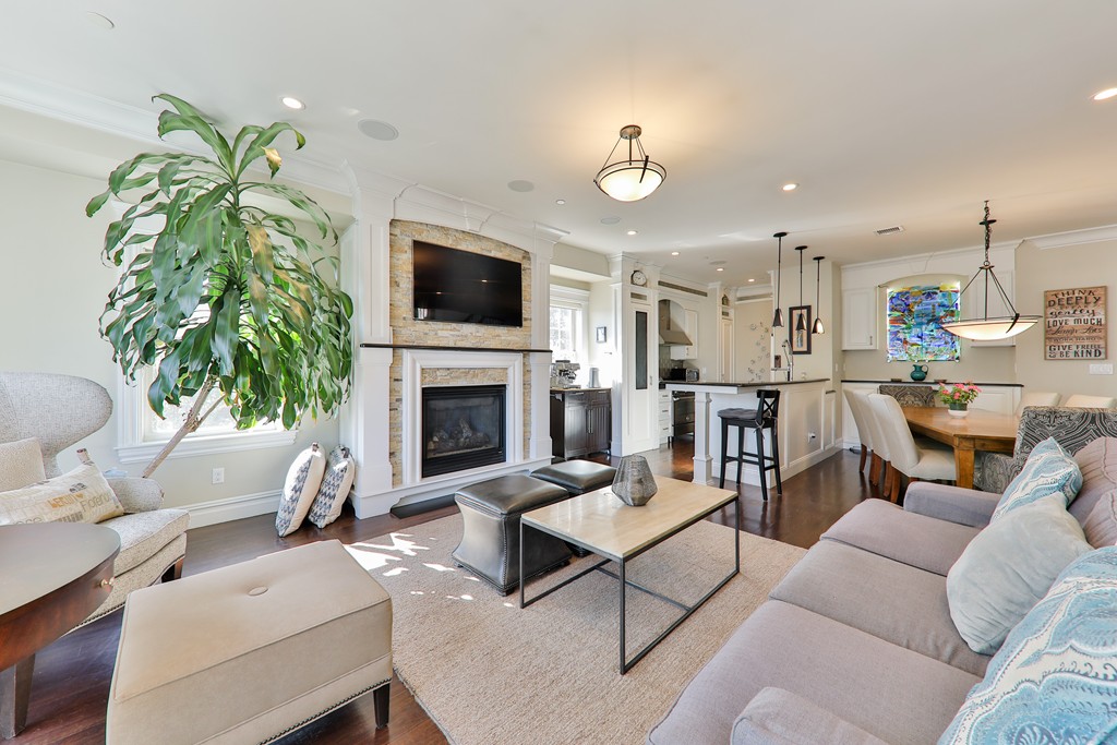 161 Tudor Street, Unit 4 Boston, MA 02127 - Photo 2 of 28 a living room with furniture a fireplace and a flat screen tv