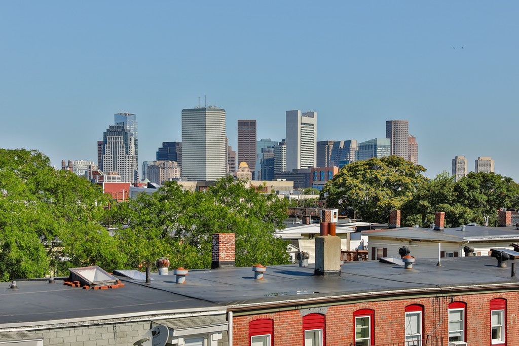 161 Tudor Street, Unit 4 Boston, MA 02127 - Photo 24 of 28 a outdoor space with lots of tall trees