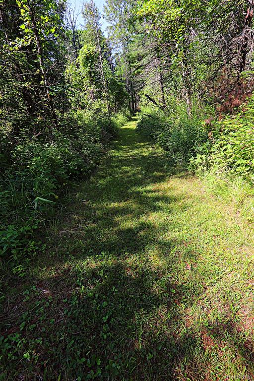 8331 Wissmiller Road South Branch, MI 48761 - Photo 52 of 59 Gallery Image 52