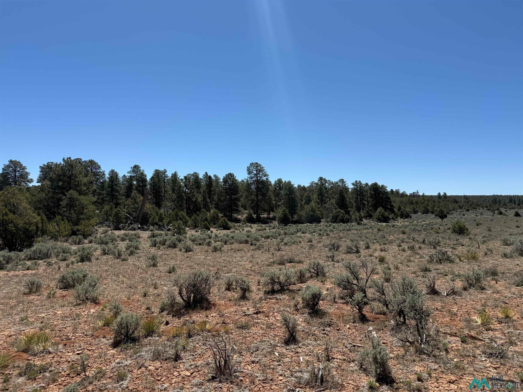 144 Foredst Service Road Abiquiu, NM 87510 - Photo 19 of 44 Gallery Image 19