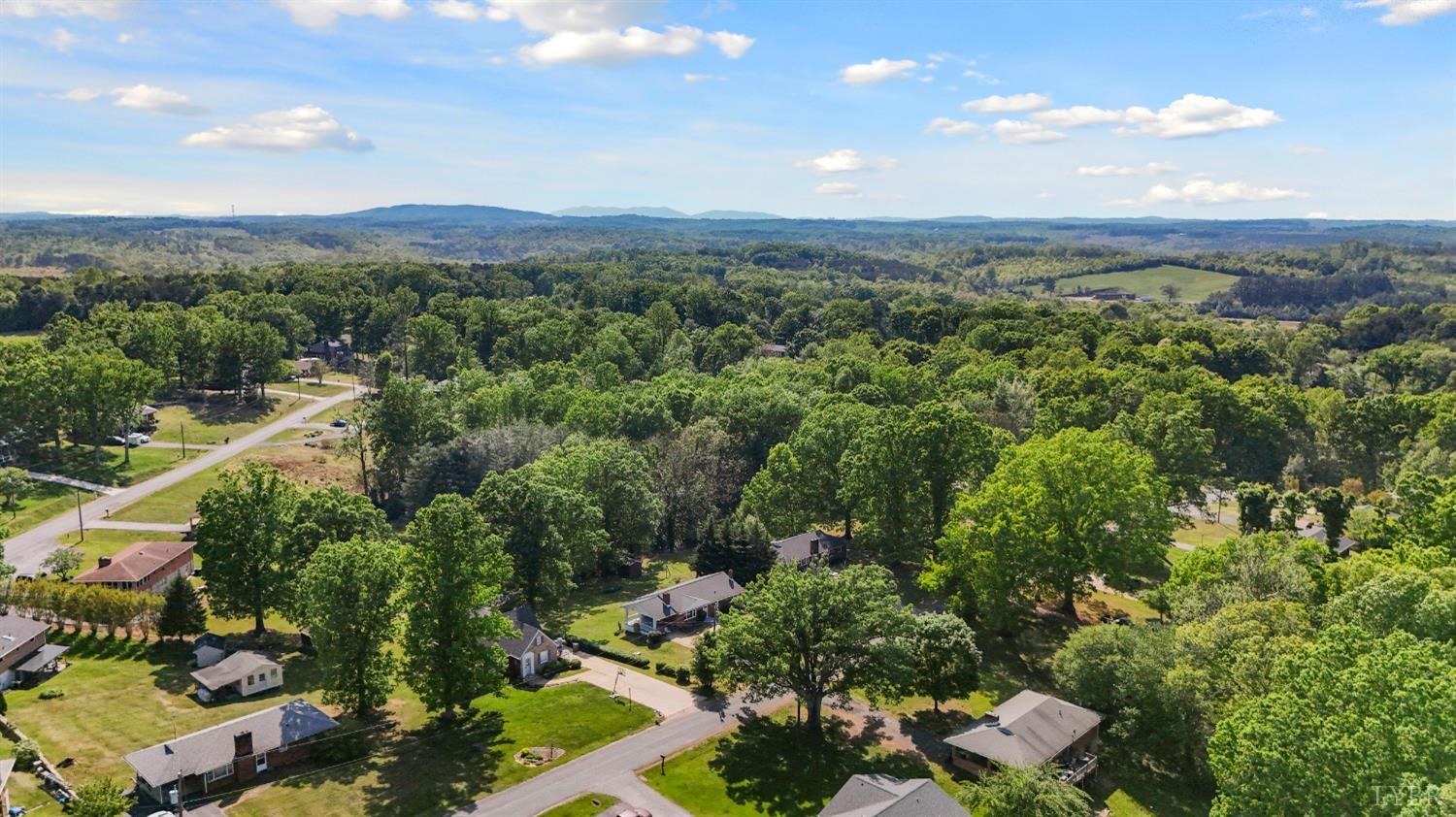 207 Ramsey Road Hurt, VA 24563 - Photo 31 of 32 a view of a city with lush green forest
