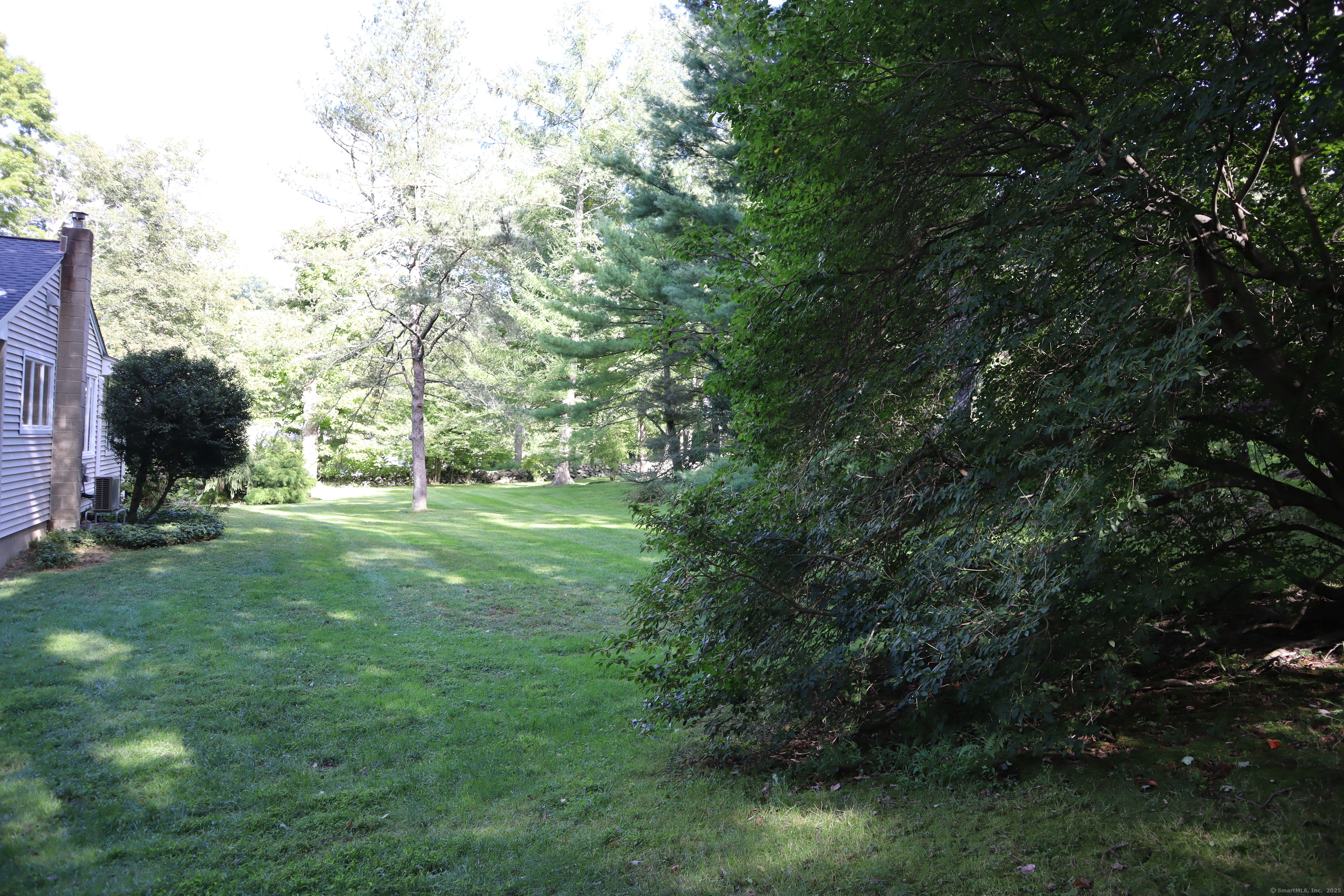 151 Chestnut Ridge Road Bethel, CT 06801 - Photo 20 of 23 a view of a yard with a tree