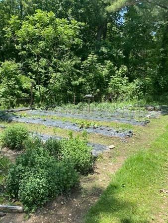 70 Cutler Road Holden, MA 01522 - Photo 27 of 28 a view of a yard with plants