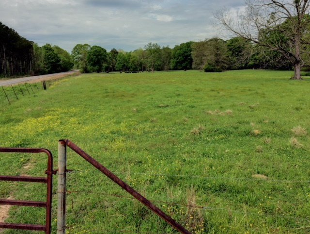 1499 Jupiter Road Braxton, MS 39044 - Photo 1 of 26 Photo 1