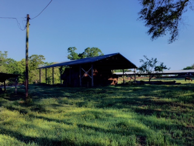 1499 Jupiter Road Braxton, MS 39044 - Photo 17 of 26 Photo 18