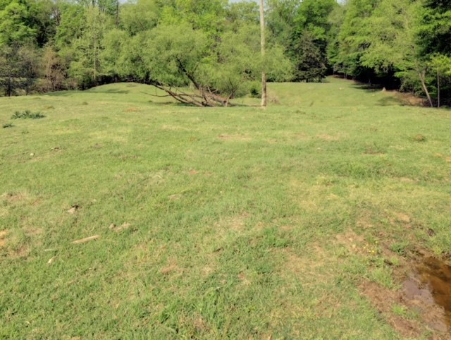 1499 Jupiter Road Braxton, MS 39044 - Photo 22 of 26 Photo 25