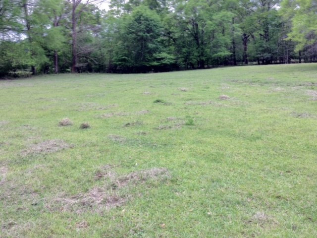 1499 Jupiter Road Braxton, MS 39044 - Photo 23 of 26 Photo 26