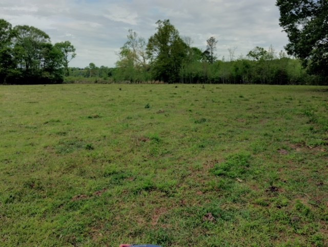 1499 Jupiter Road Braxton, MS 39044 - Photo 25 of 26 Photo 28