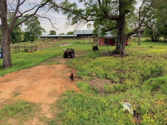 1499 Jupiter Road Braxton, MS 39044 - Photo 4 of 26 Photo 4
