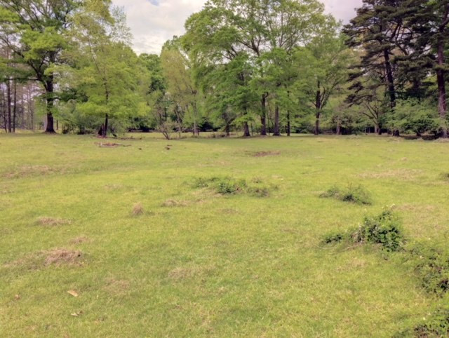 1499 Jupiter Road Braxton, MS 39044 - Photo 8 of 26 Photo 8