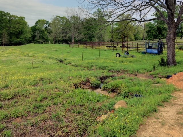 1499 Jupiter Road Braxton, MS 39044 - Photo 10 of 26 Photo 10