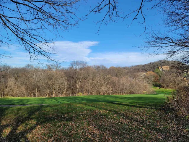 a view of grassy field with mountain