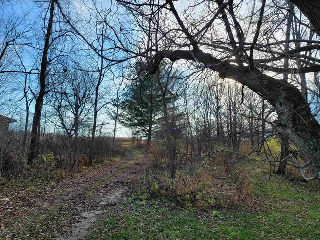 a view of a yard with a tree