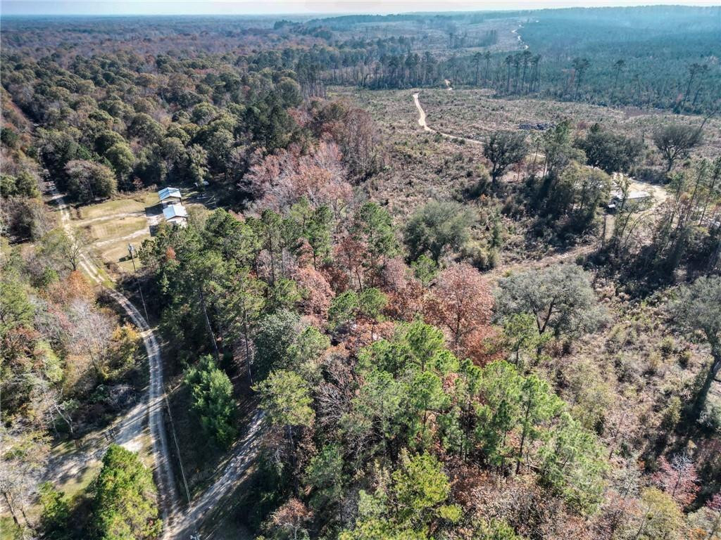 286 Carter Bight Landing Road Surrency, GA 31563 - Photo 31 of 35 Photo 31