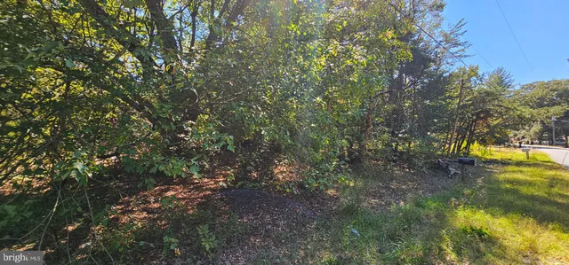 a view of a yard with a tree