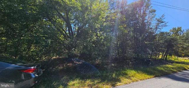 a view of swimming pool from a yard