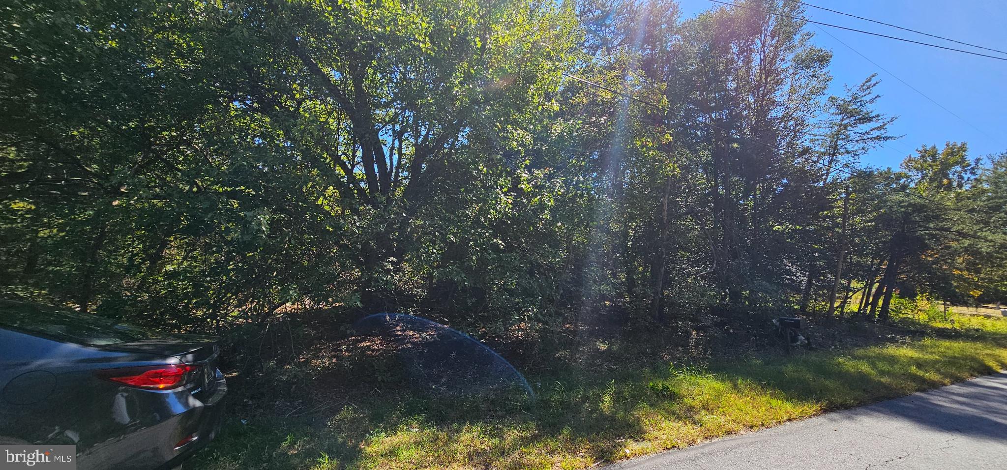 Lot 13-14 Coverdale Road Bridgeville, DE 19933 - Photo 6 of 7 a view of swimming pool from a yard