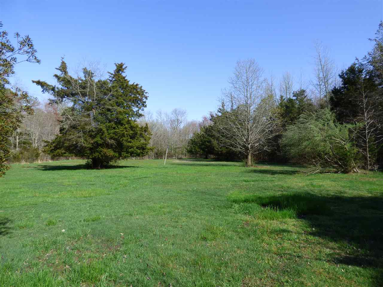 192 Lehner Road Woodbine, NJ 08270 - Photo 4 of 26 Gallery Image 4