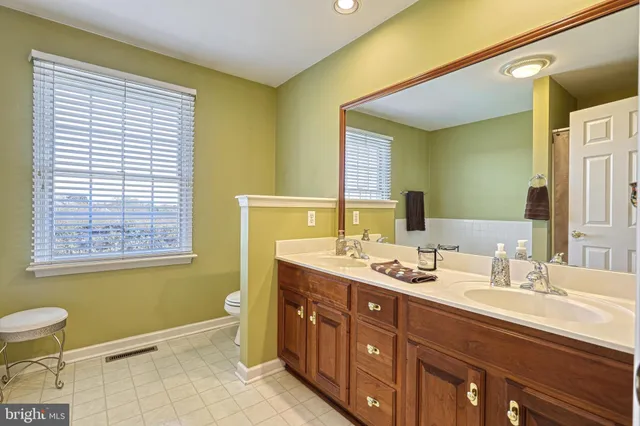 a bathroom with a double vanity sink toilet and a mirror
