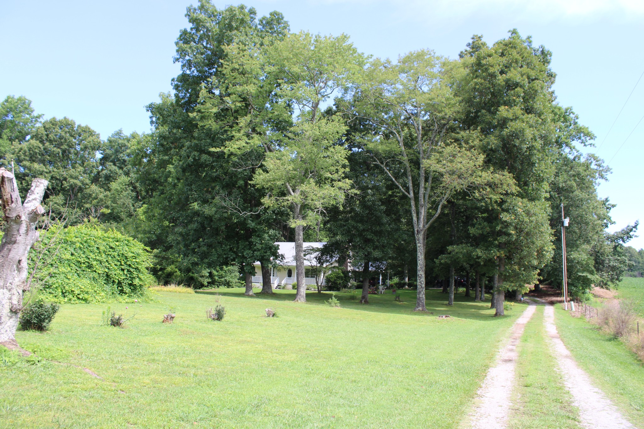 612 Bost Road McMinnville, TN 37110 - Photo 2 of 47