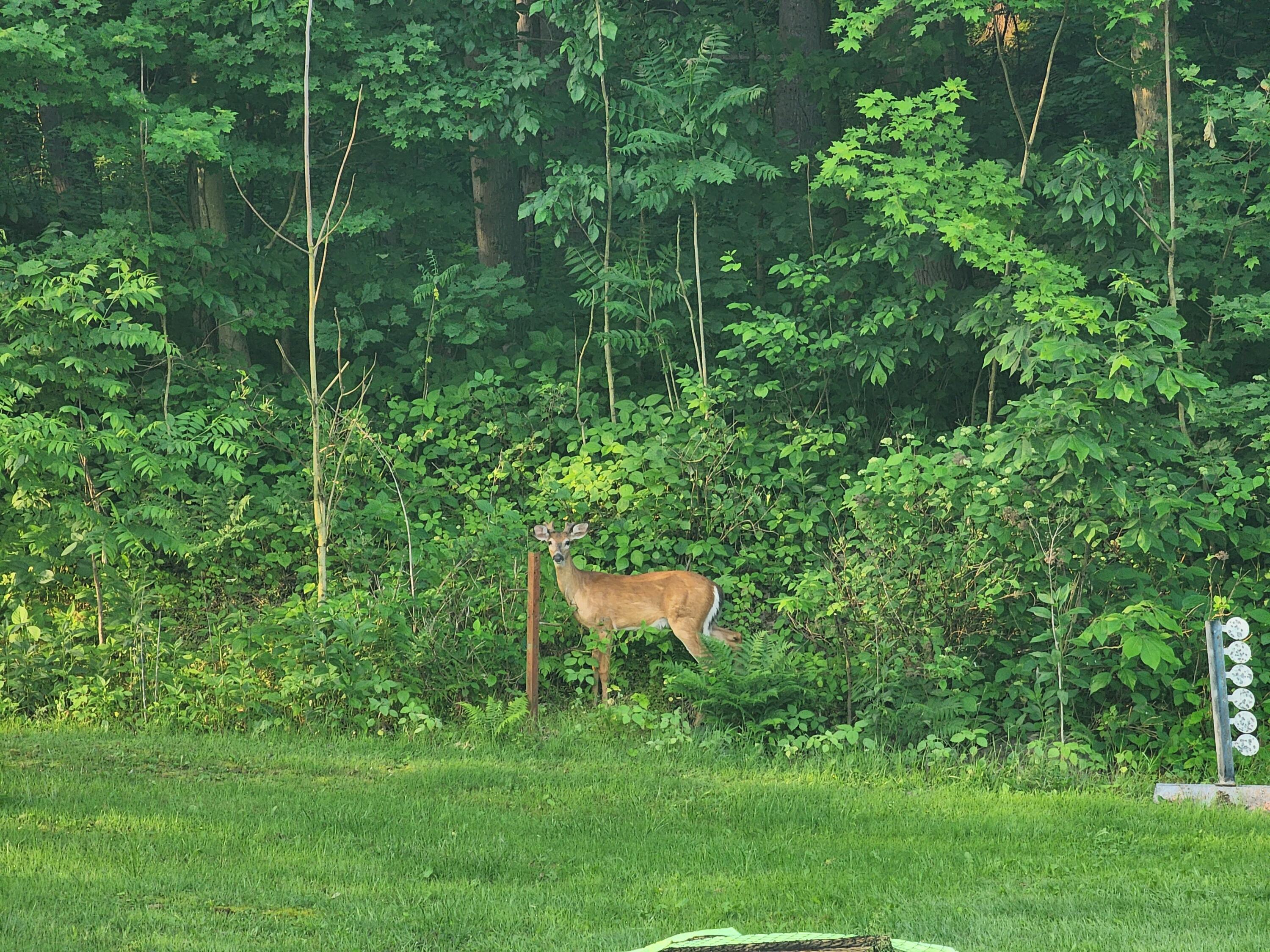 4495 Old River Road Philo, OH 43771 - Photo 35 of 45 20250605_075530