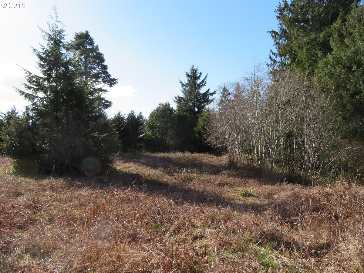 79 Ranta Road, Unit 14 South Bend, WA 98586 - Photo 11 of 32 Gallery Image 11