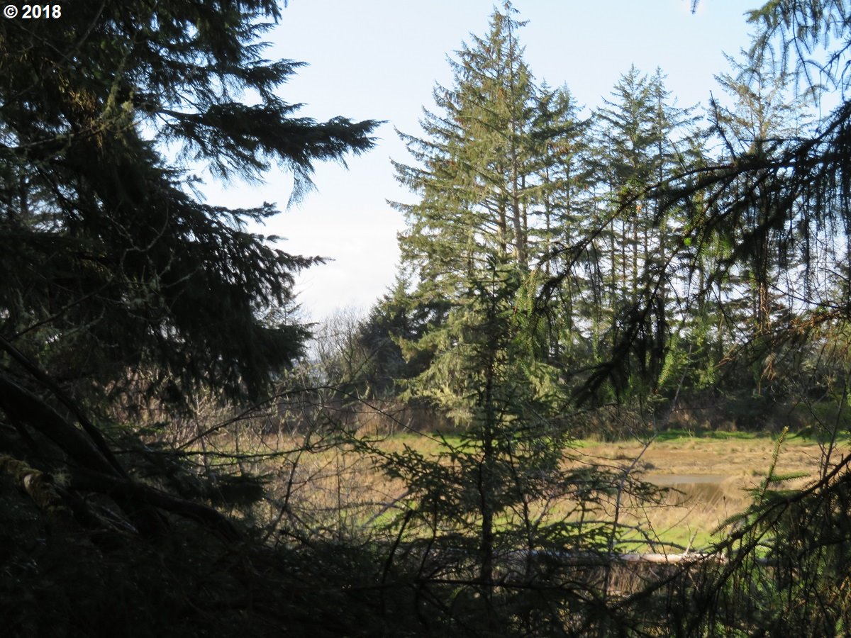 79 Ranta Road, Unit 14 South Bend, WA 98586 - Photo 23 of 32 Gallery Image 23