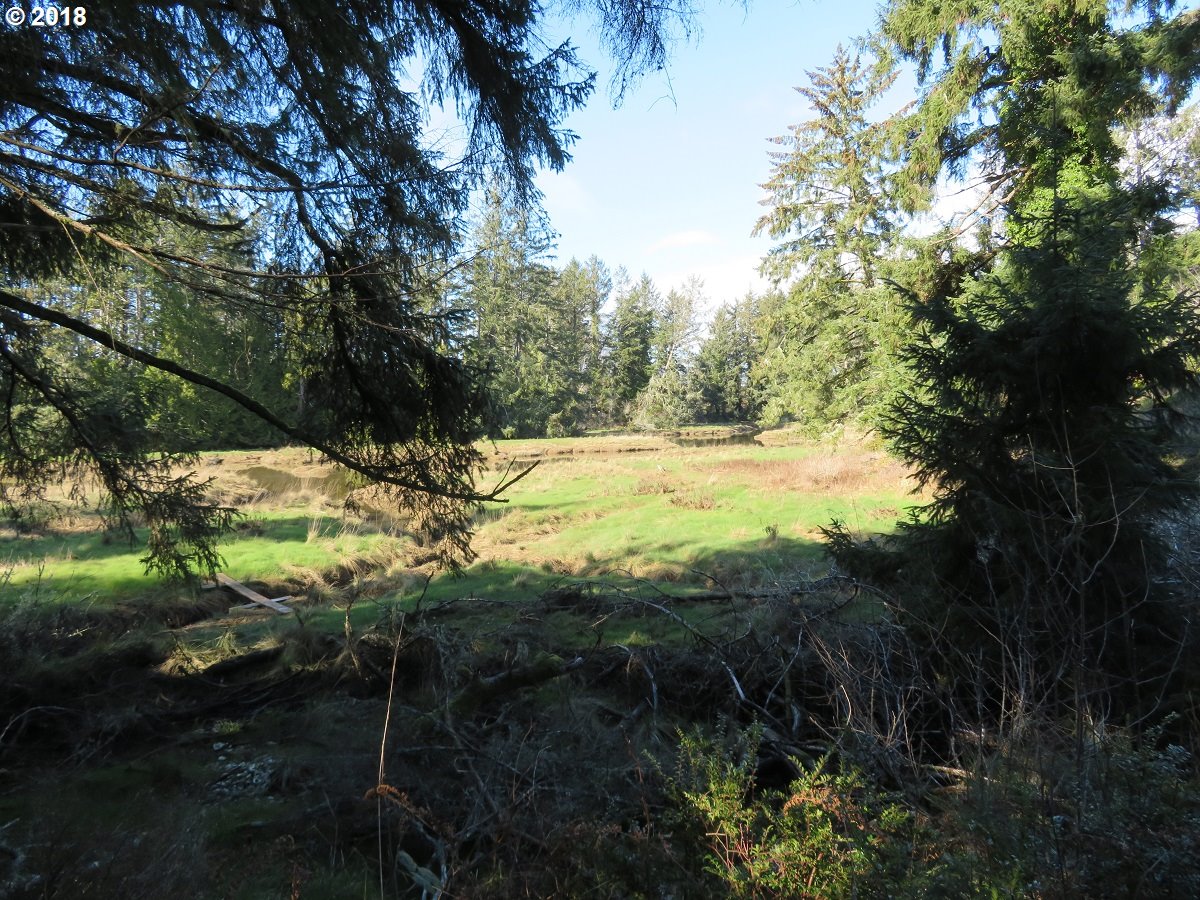 79 Ranta Road, Unit 14 South Bend, WA 98586 - Photo 24 of 32 Gallery Image 24