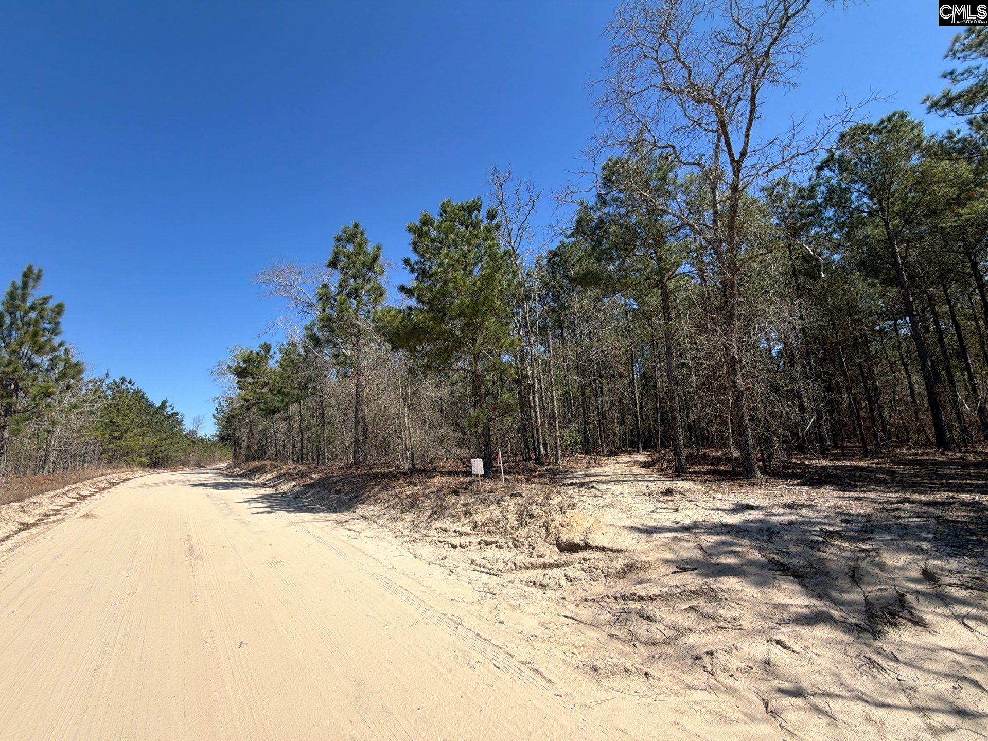 15 Boise Cascade Road Bethune, SC 29009 - Photo 2 of 15 Gallery Image 2