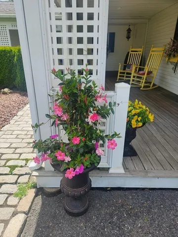 $3,000 | 92 Main Street, Unit 1, Hopkinton, MA 01748