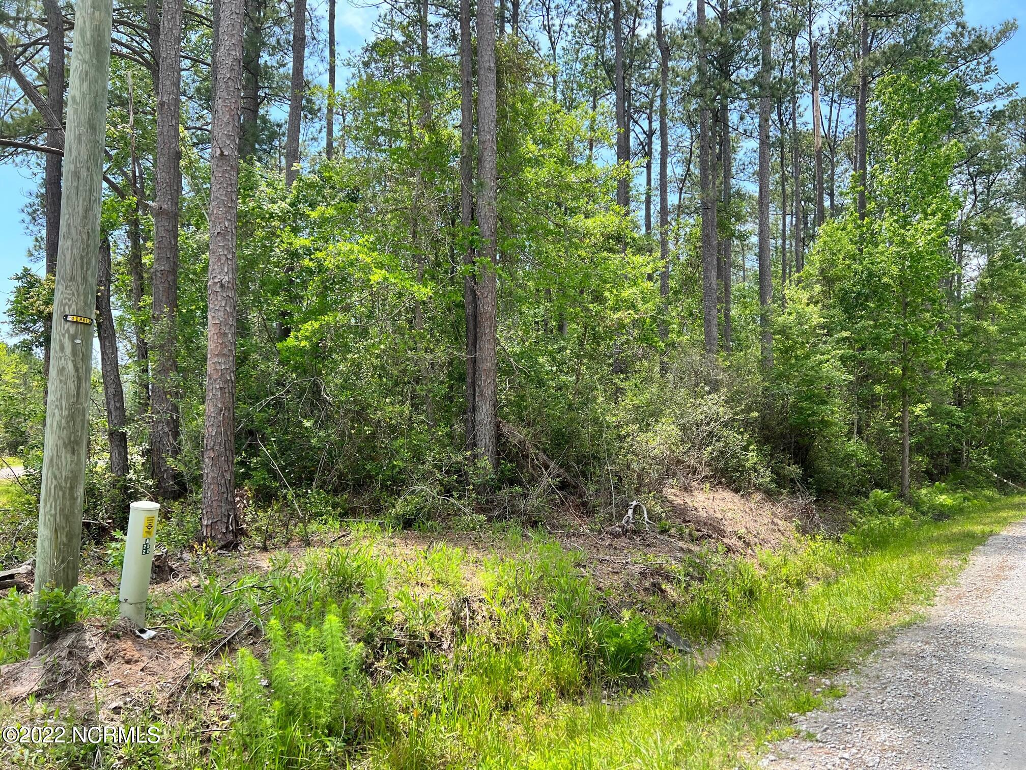 0 Corner Crystal & Woodhaven Rds Road Southport, NC 28461 - Photo 14 of 14 Daniel Lot 1
