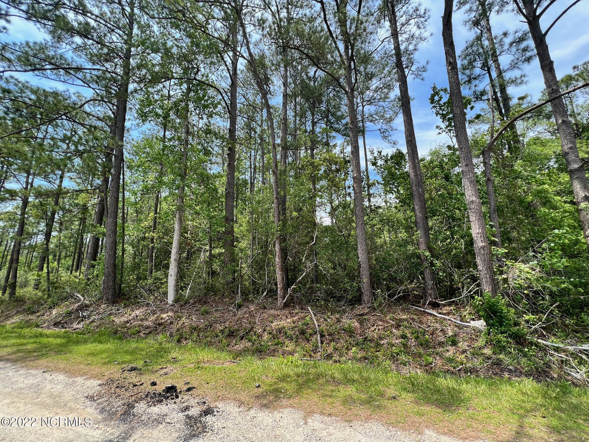 0 Corner Crystal & Woodhaven Rds Road Southport, NC 28461 - Photo 5 of 14 Daniel Lot 3