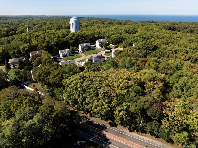a view of a city with lush green forest
