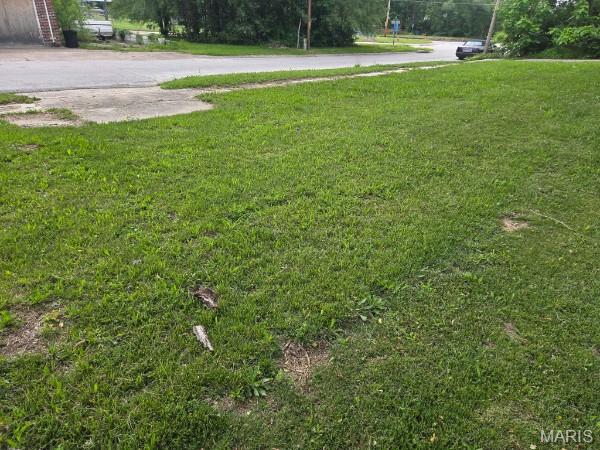 407 South Griffith Street Hannibal, MO 63401 - Photo 2 of 6