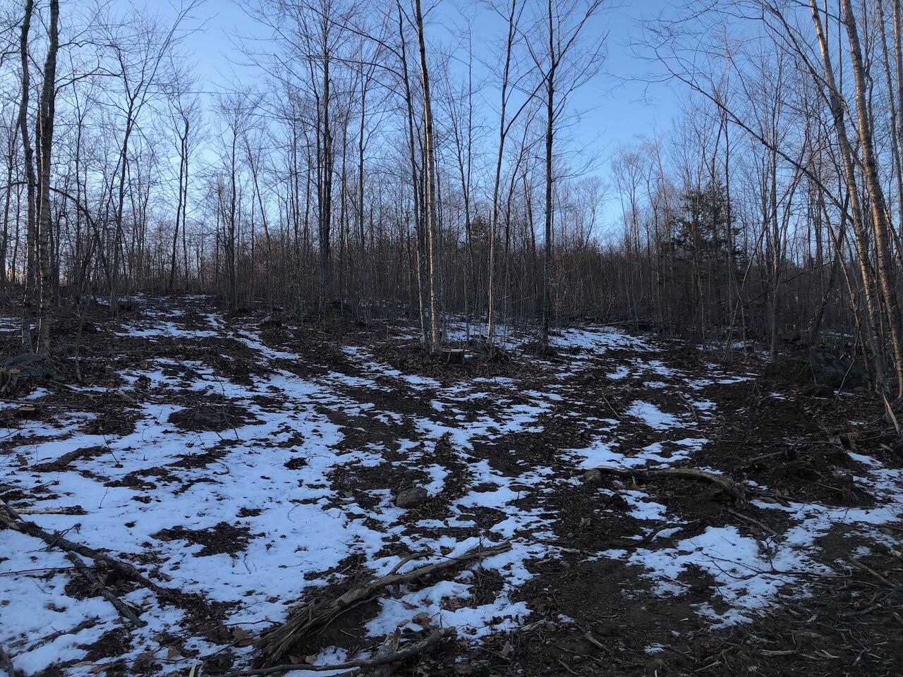 L25 Canton Mountain Road Jay, ME 04239 - Photo 22 of 25 IMG_8016
