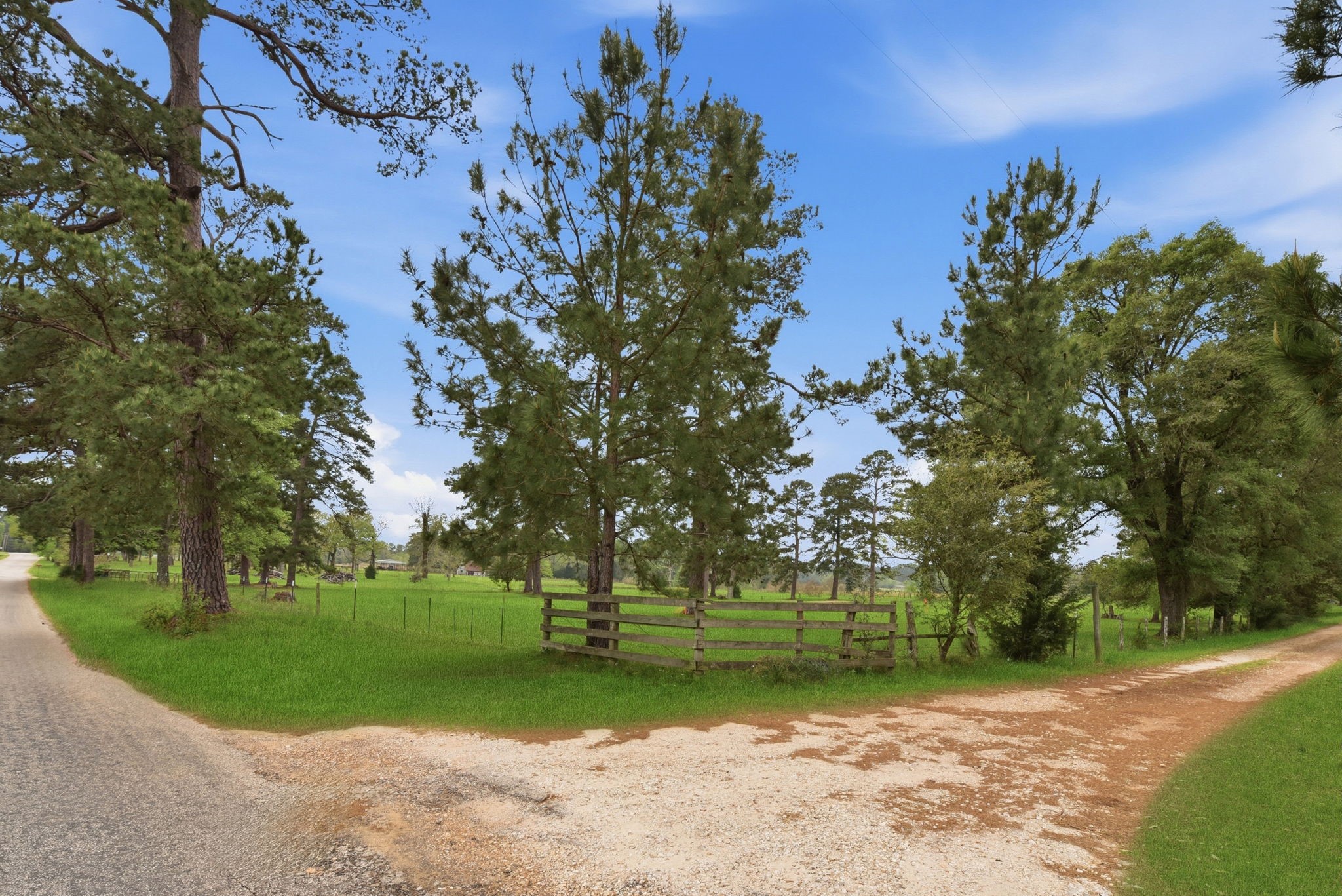 882 Four Notch Road Huntsville, TX 77340 - Photo 6 of 41 Gallery Image 6