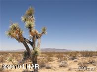 28 West Cielo Road Yucca, AZ 86438 - Photo 6 of 14 desert skies 8