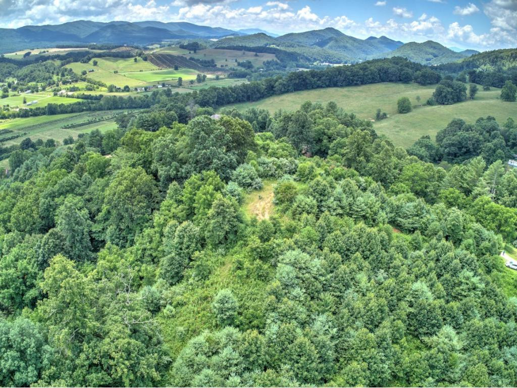 E Fire Tower Road Mountain City, TN 37683 - Photo 1 of 12 Photo 1