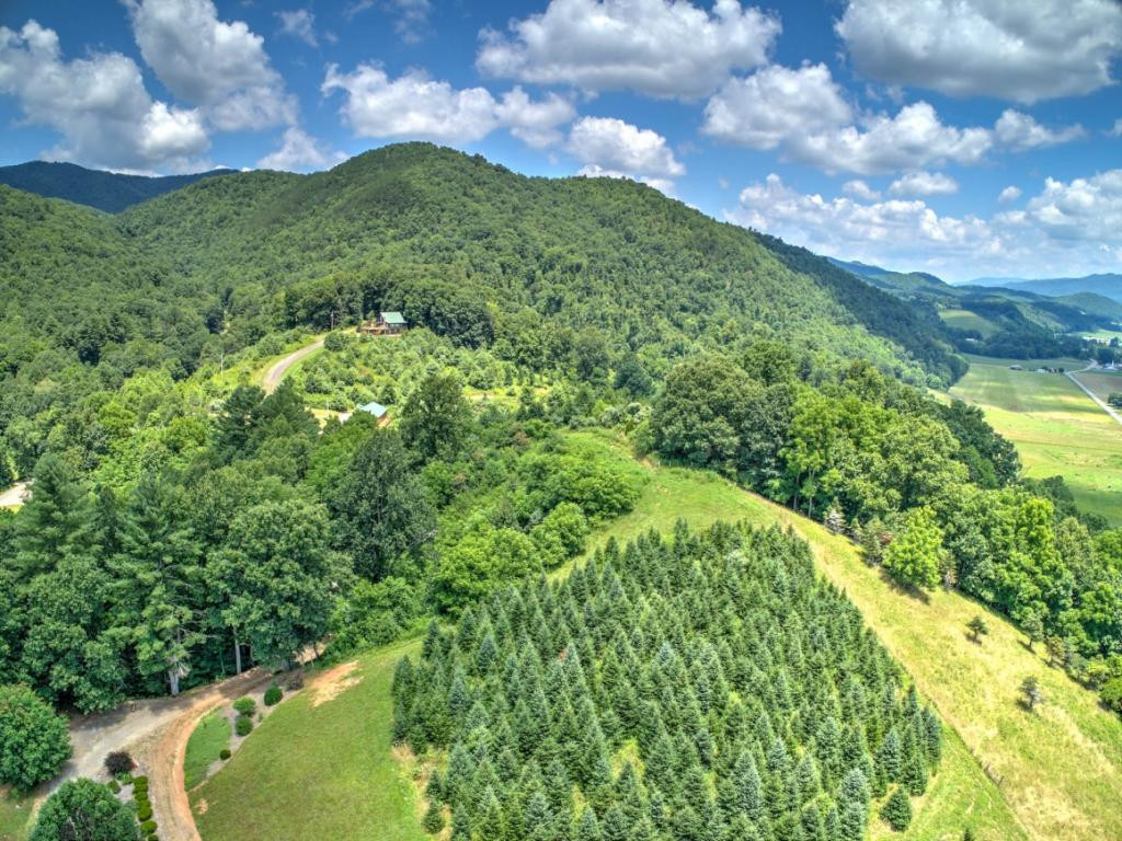 E Fire Tower Road Mountain City, TN 37683 - Photo 3 of 12 Photo 3