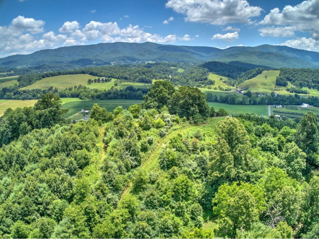 E Fire Tower Road Mountain City, TN 37683 - Photo 4 of 12 Photo 4