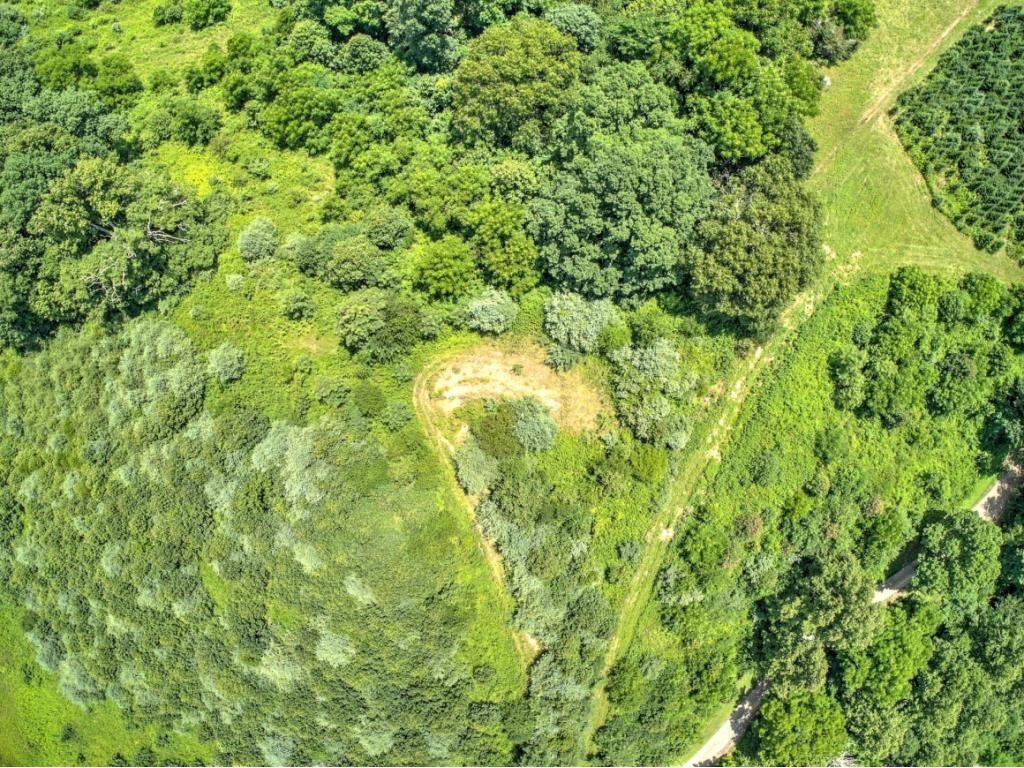 E Fire Tower Road Mountain City, TN 37683 - Photo 6 of 12 Photo 6