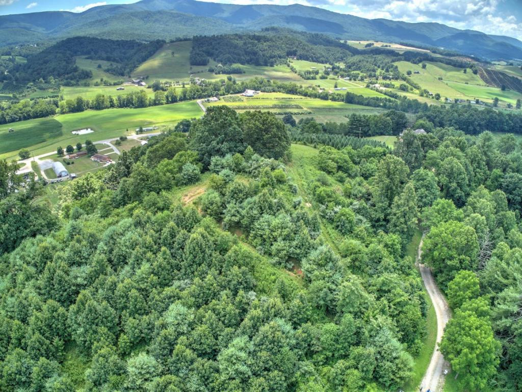 E Fire Tower Road Mountain City, TN 37683 - Photo 8 of 12 Photo 8