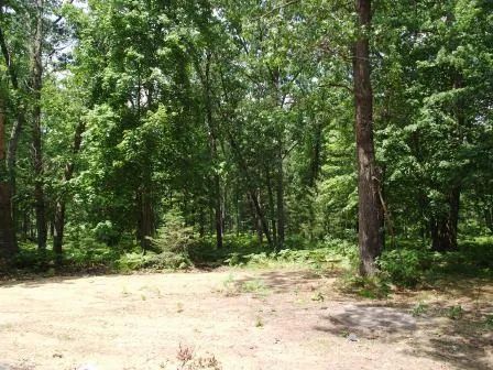 $175,000 | 395 North Campbell Road, Fountain, MI 49410