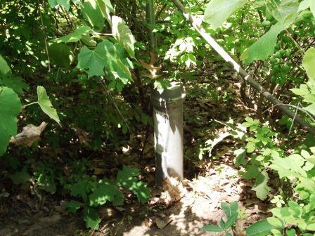 395 North Campbell Road Fountain, MI 49410 - Photo 24 of 24 9a