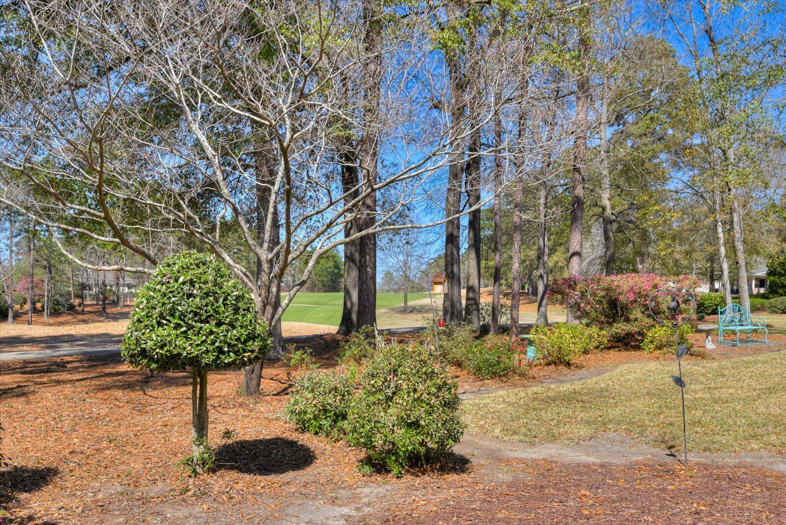 136 Holley Ridge Road Aiken, SC 29803 - Photo 32 of 39 Gallery Image 32